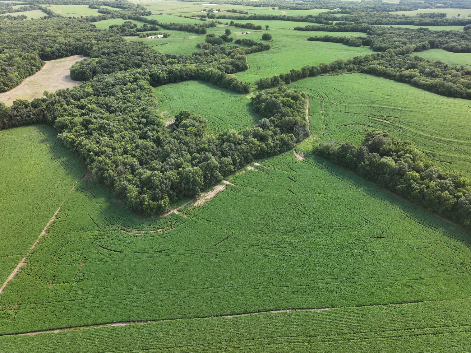 Image for 276.66 Acres M/L, 0 McAllister Road Houstonia, MO 65333, MLS #25030759