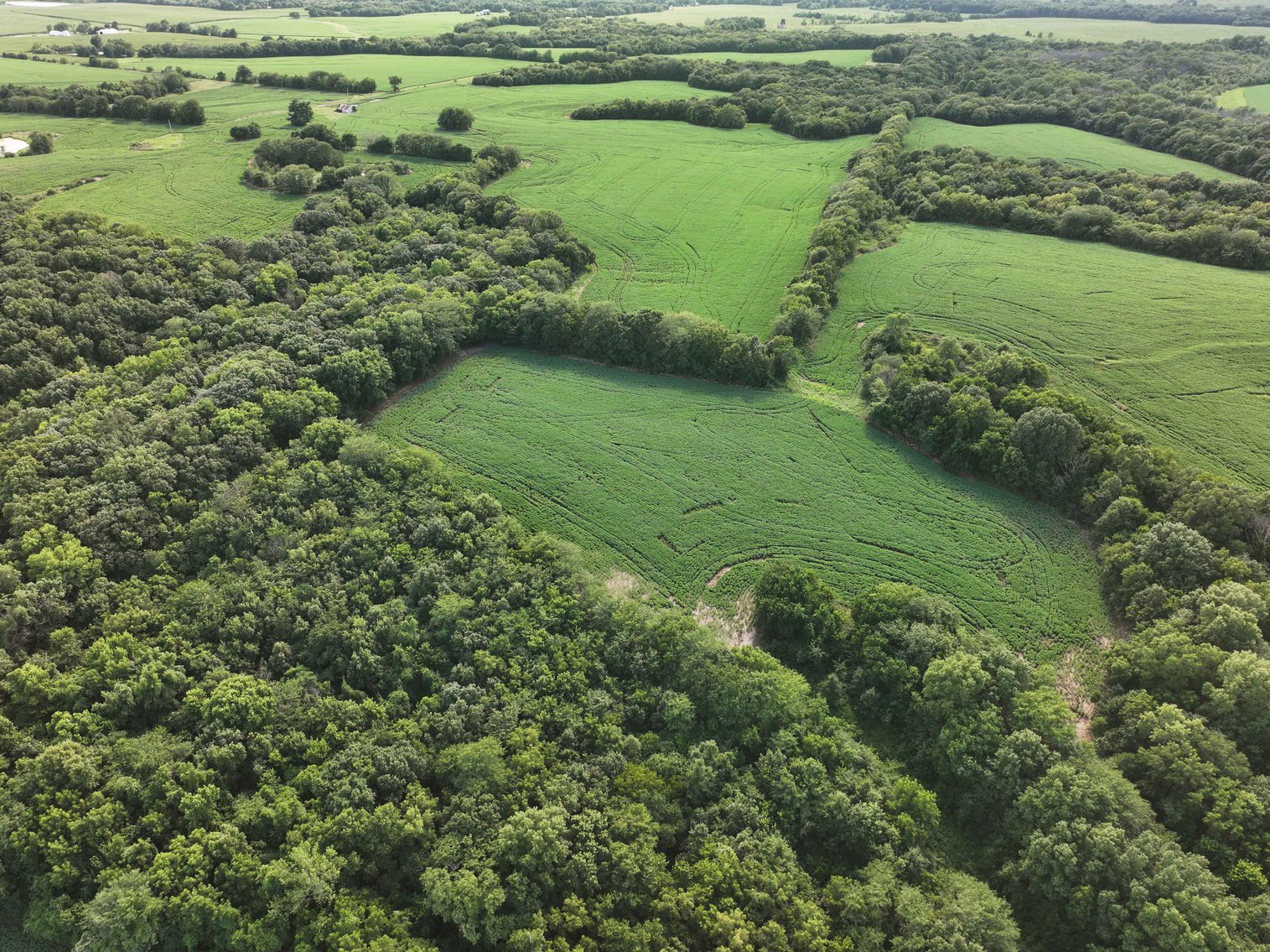 Image for 276.66 Acres M/L, 0 McAllister Road Houstonia, MO 65333, MLS #25030759