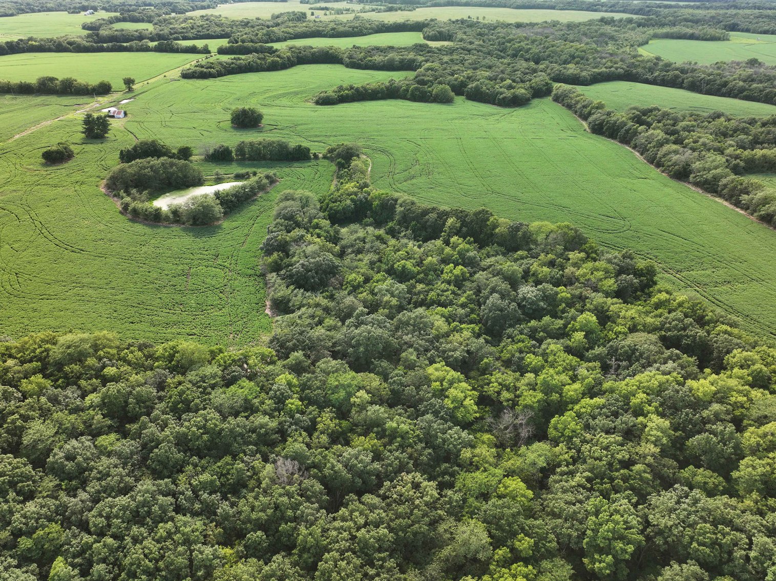 Image for 276.66 Acres M/L, 0 McAllister Road Houstonia, MO 65333, MLS #25030759