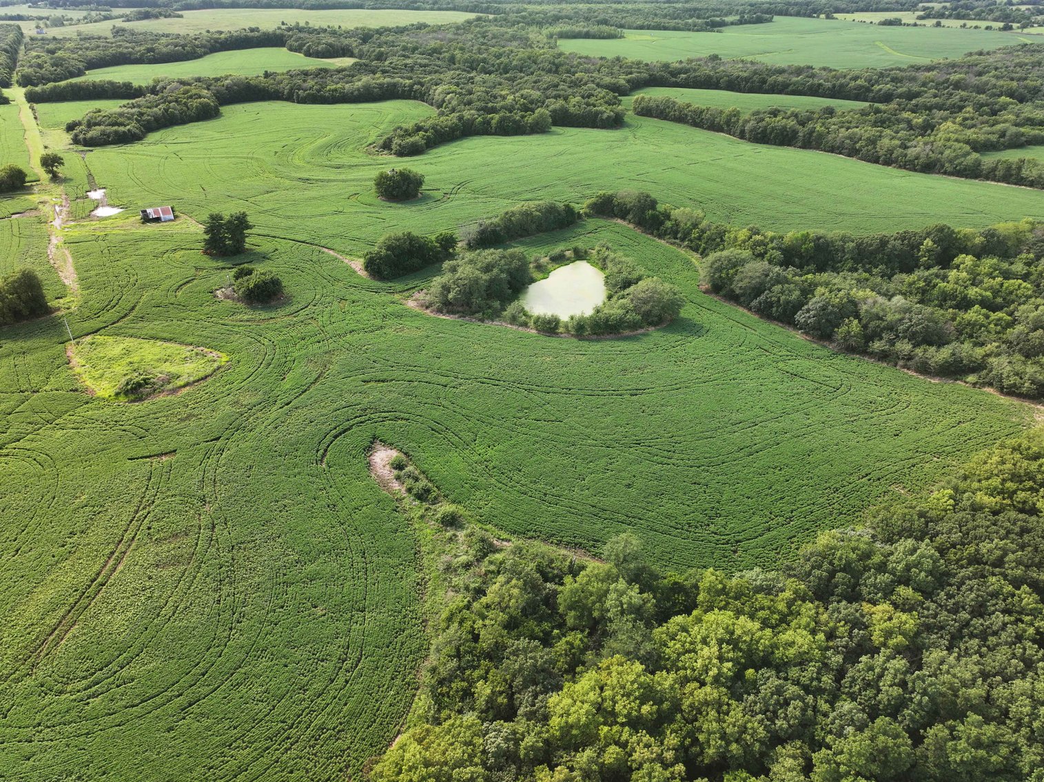 Image for 276.66 Acres M/L, 0 McAllister Road Houstonia, MO 65333, MLS #25030759