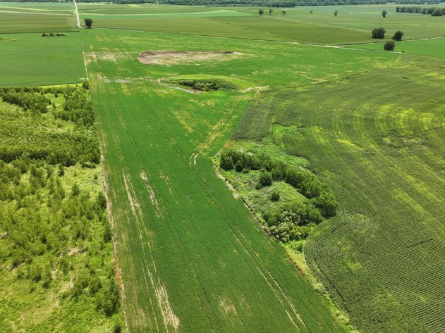 Image for 94.9 Acres M/L, County Road 102 Miami, MO 65344 MLS #25030753