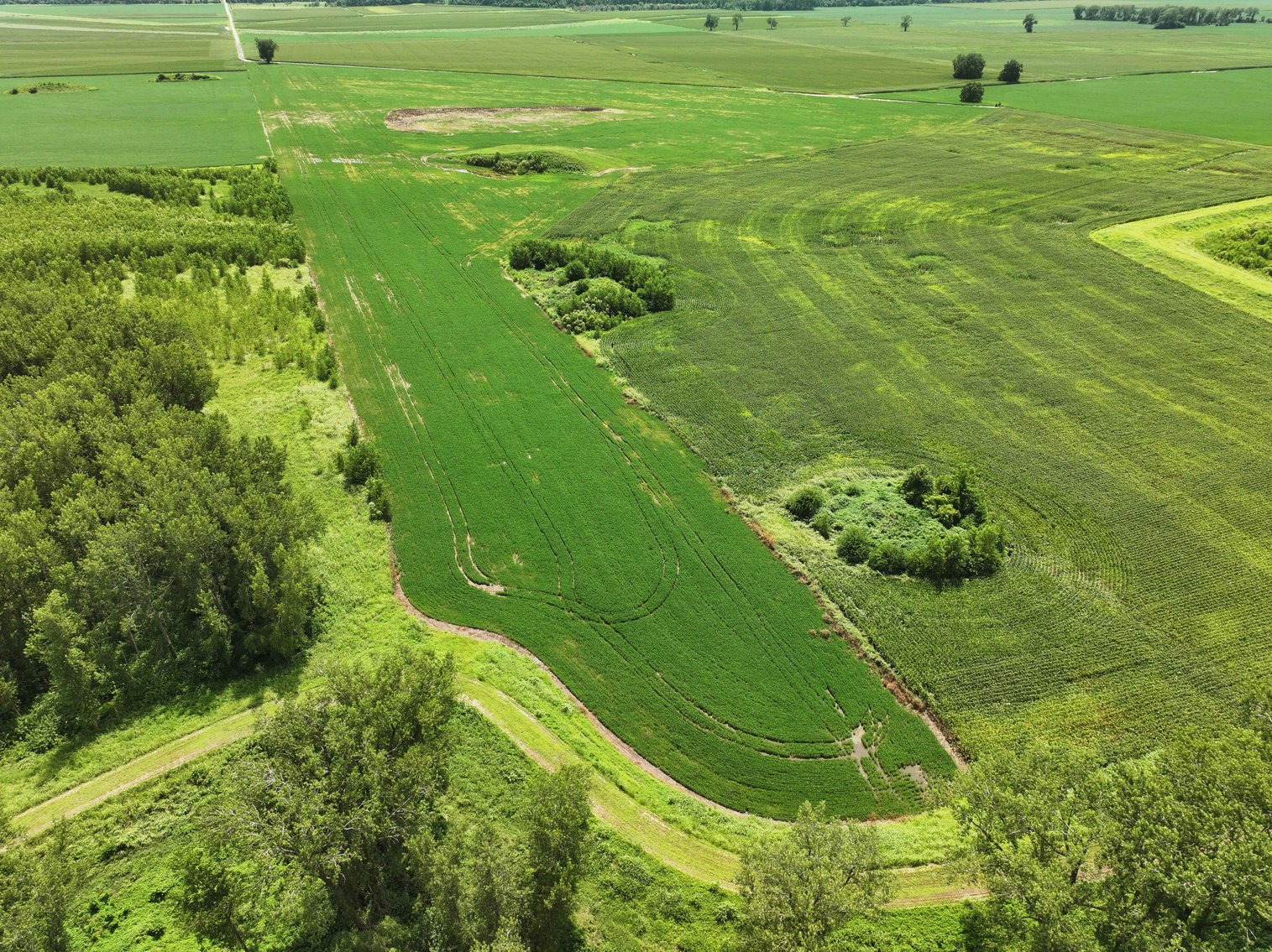 Image for 94.9 Acres M/L, County Road 102 Miami, MO 65344 MLS #25030753