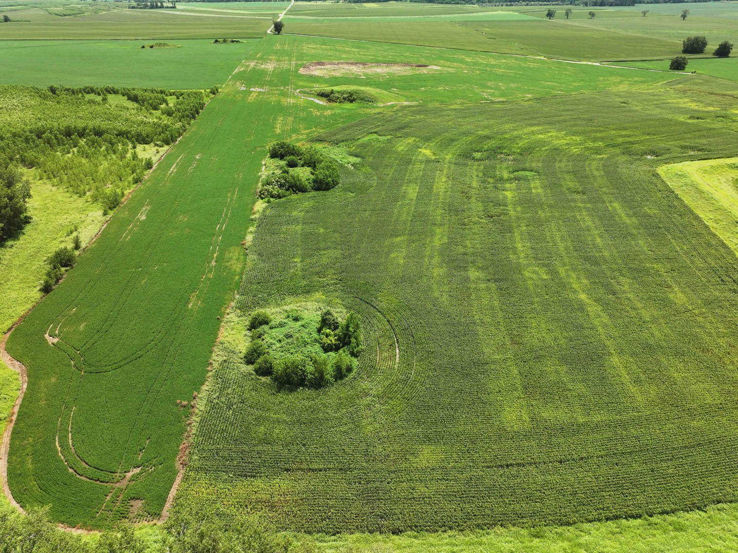 Image for 94.9 Acres M/L, County Road 102 Miami, MO 65344 MLS #25030753