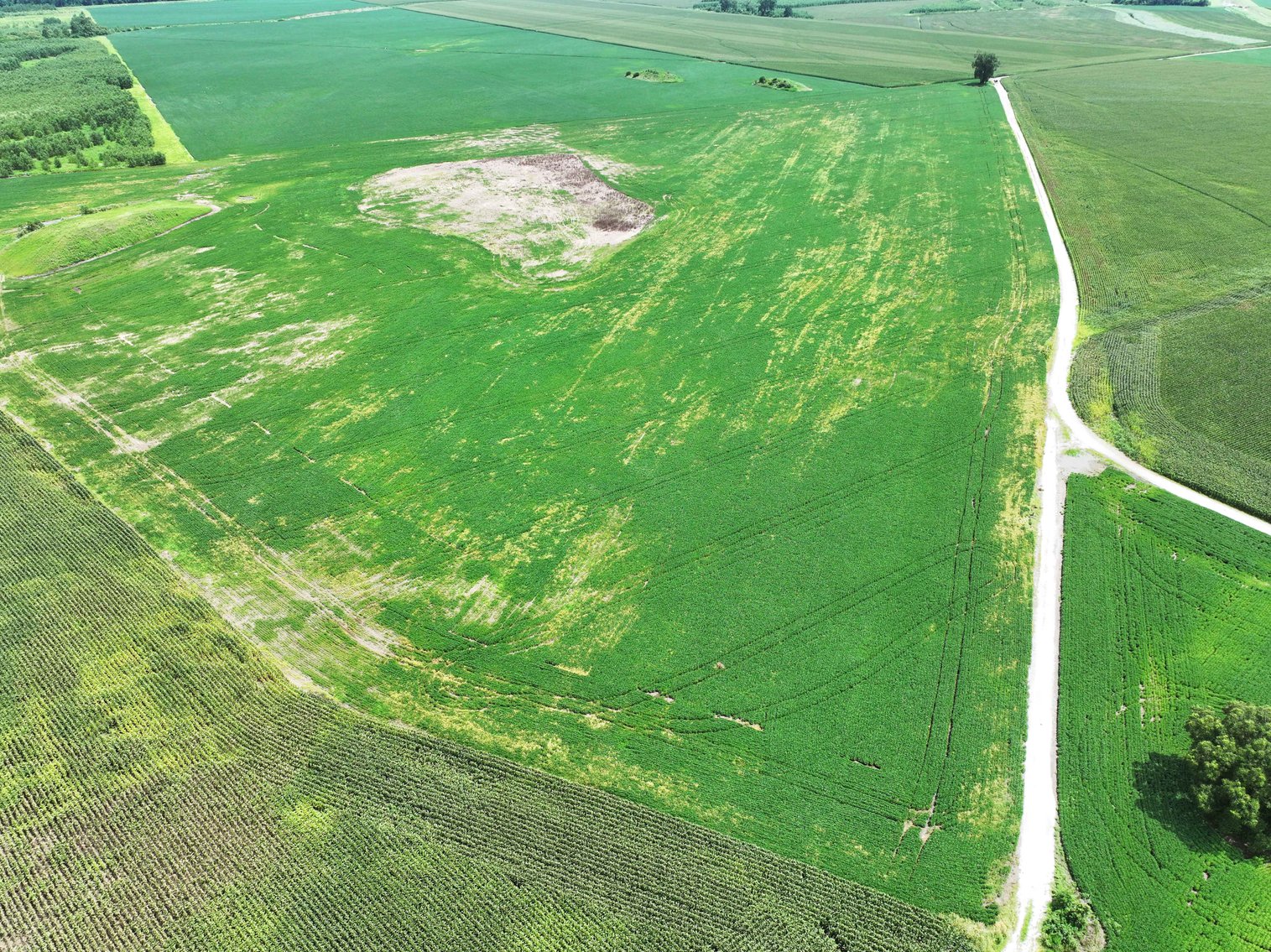 Image for 94.9 Acres M/L, County Road 102 Miami, MO 65344 MLS #25030753