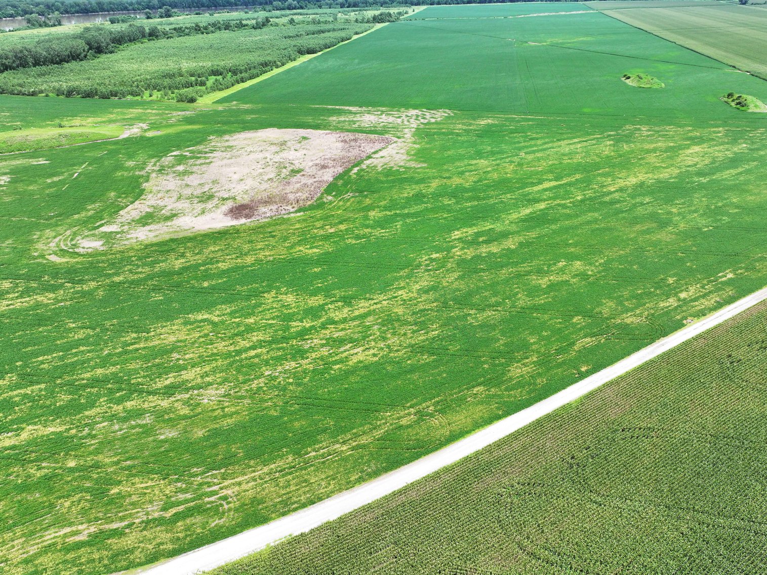 Image for 94.9 Acres M/L, County Road 102 Miami, MO 65344 MLS #25030753