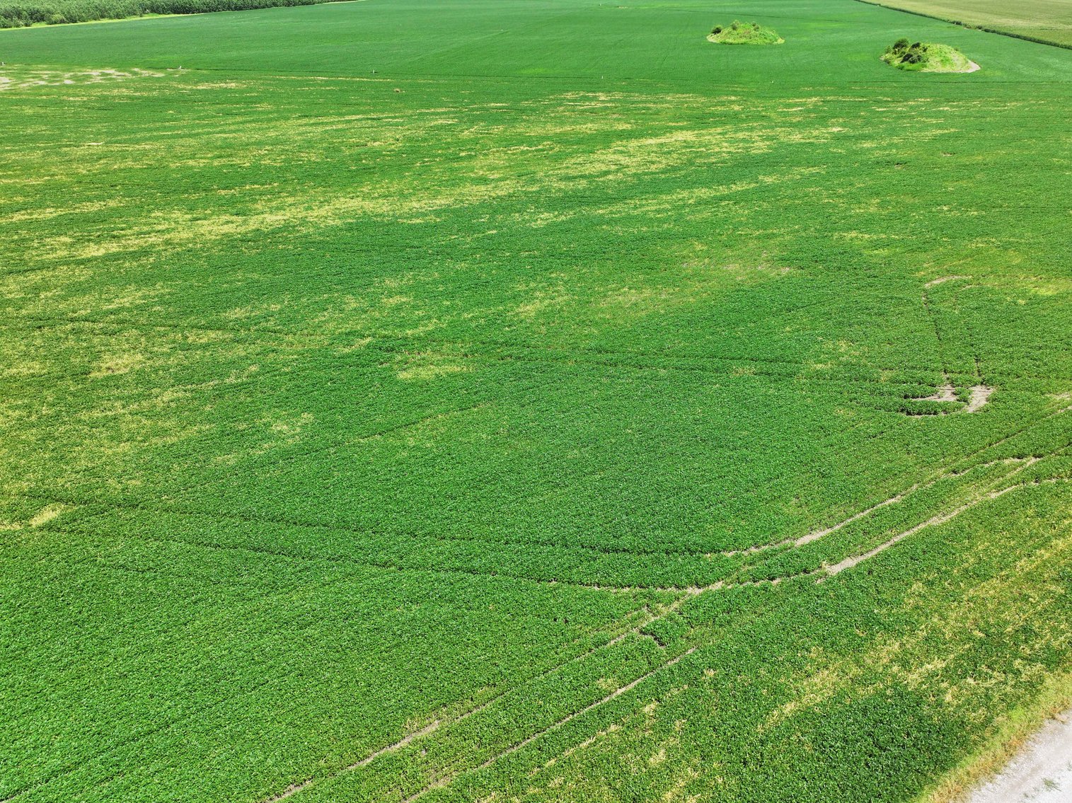 Image for 94.9 Acres M/L, County Road 102 Miami, MO 65344 MLS #25030753