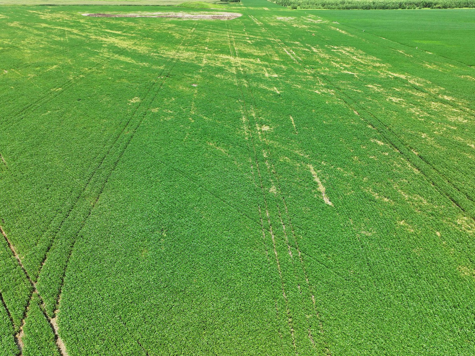 Image for 94.9 Acres M/L, County Road 102 Miami, MO 65344 MLS #25030753