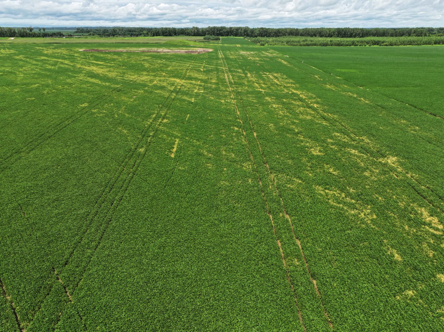 Image for 94.9 Acres M/L, County Road 102 Miami, MO 65344 MLS #25030753