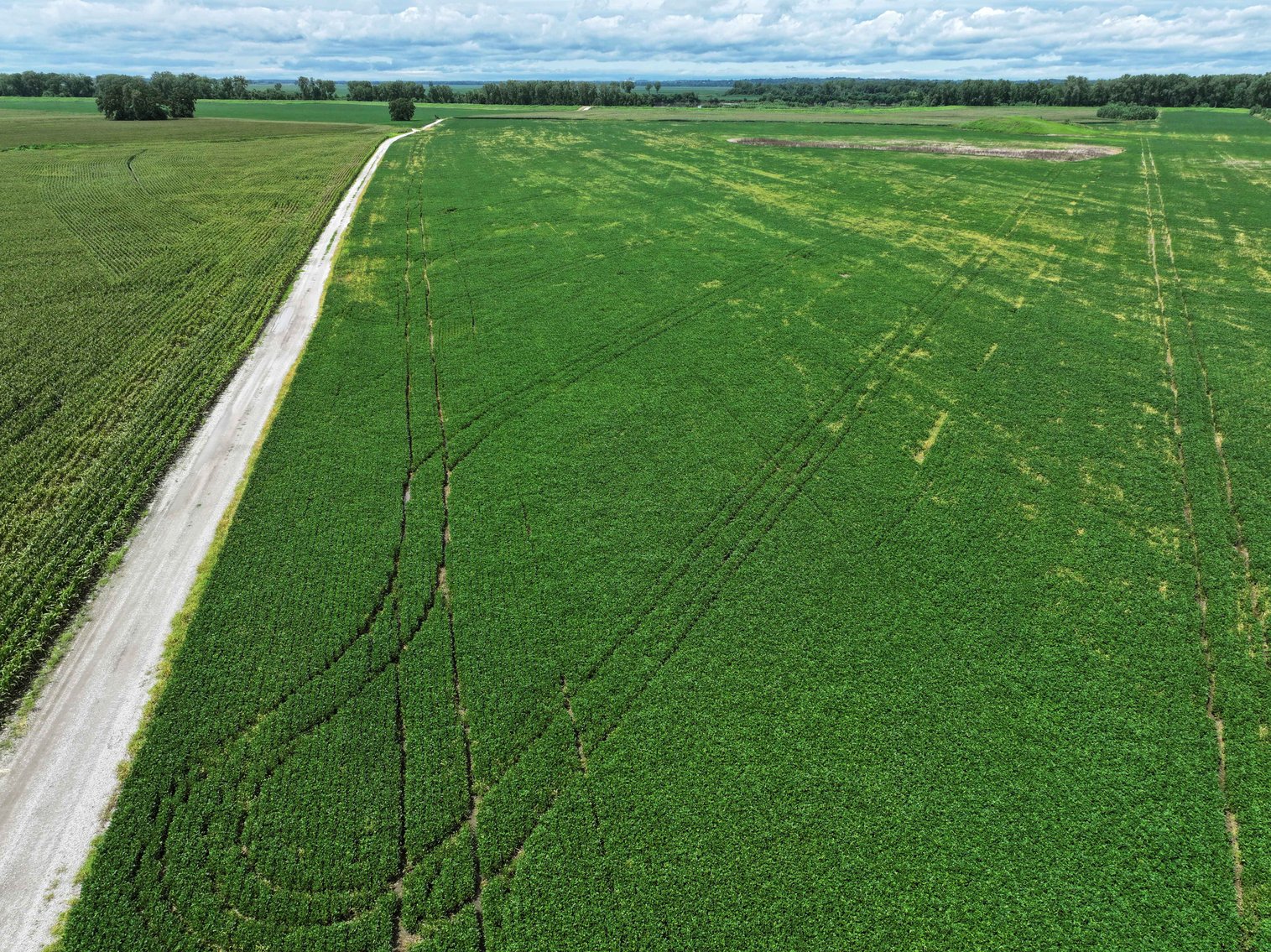 Image for 94.9 Acres M/L, County Road 102 Miami, MO 65344 MLS #25030753