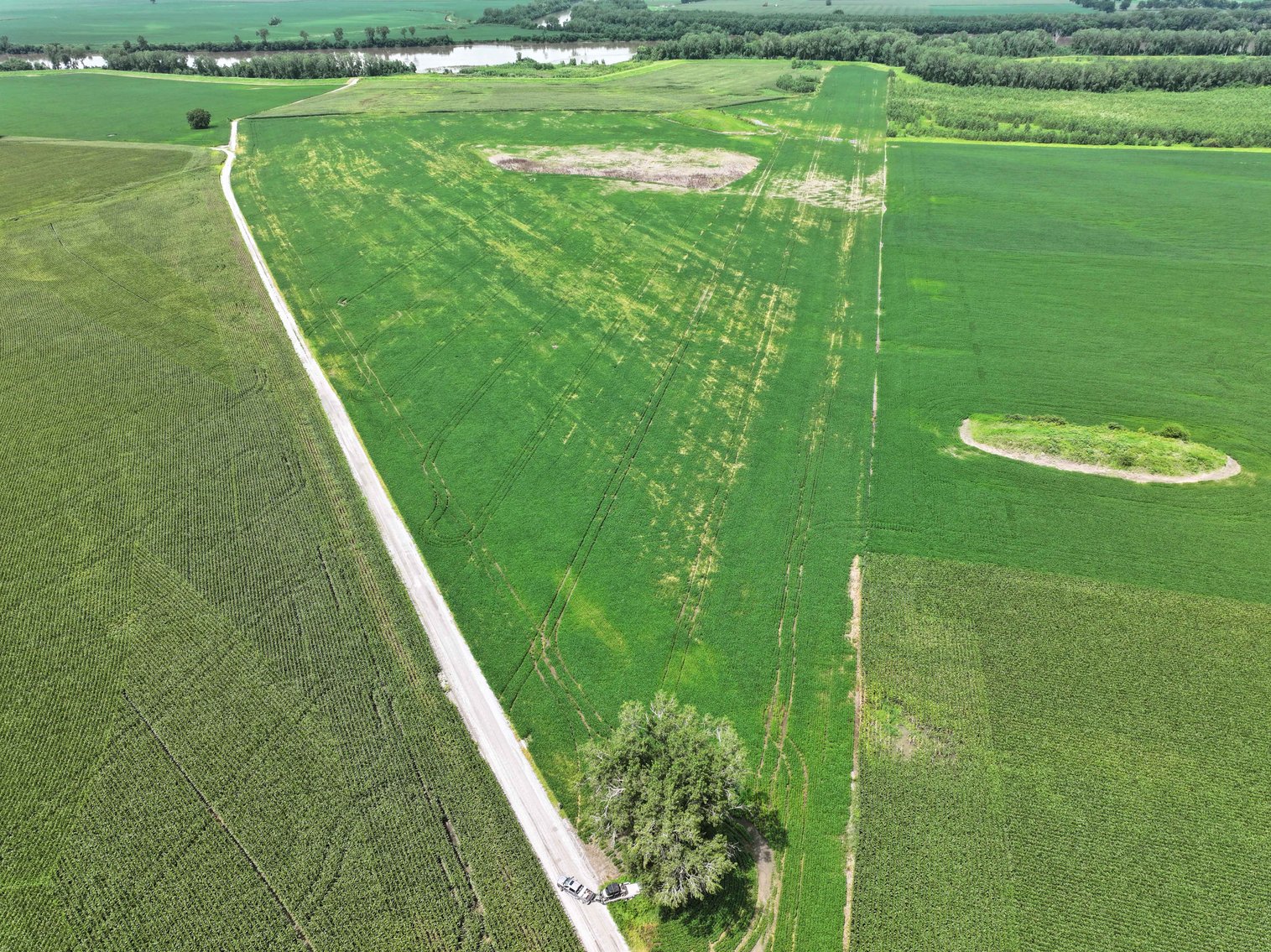 Image for 94.9 Acres M/L, County Road 102 Miami, MO 65344 MLS #25030753