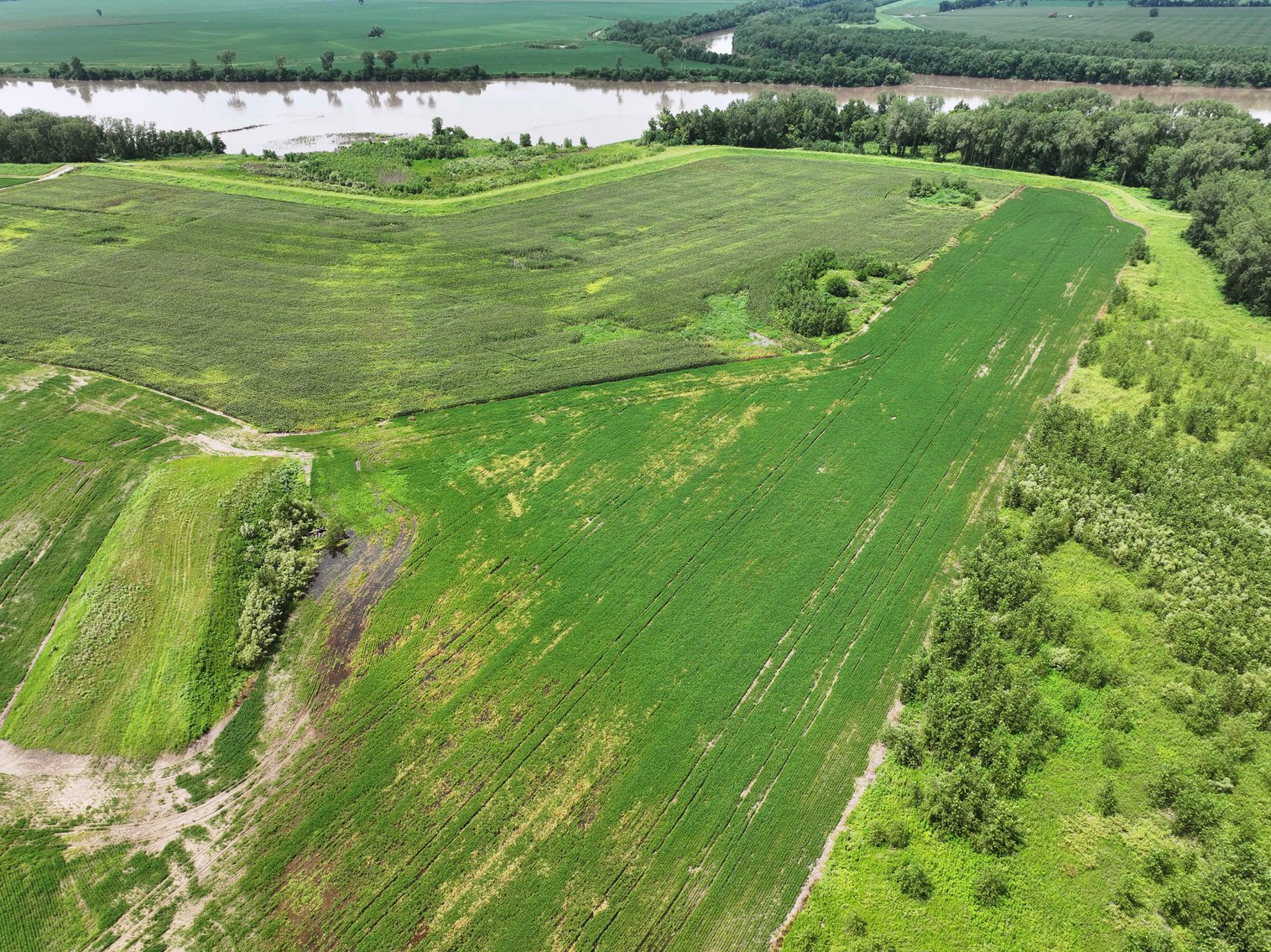 Image for 94.9 Acres M/L, County Road 102 Miami, MO 65344 MLS #25030753