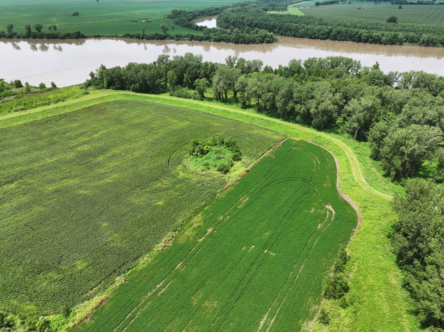 Image for 94.9 Acres M/L, County Road 102 Miami, MO 65344 MLS #25030753