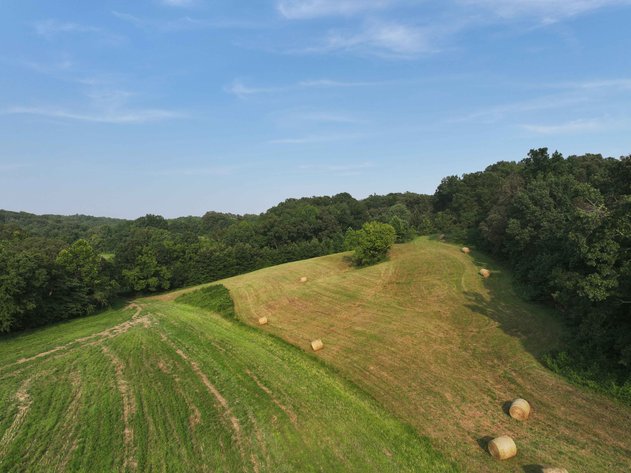 Image for 65.16 acres +/- off of County Road 522, Jackson MO 63755, MLS # 25009340