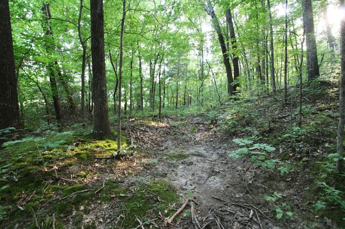 Image for 65.16 acres +/- off of County Road 522, Jackson MO 63755, MLS # 25009340