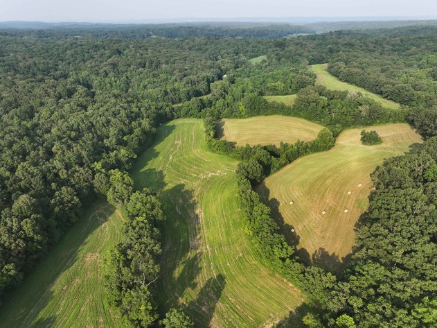 Image for 65.16 acres +/- off of County Road 522, Jackson MO 63755, MLS # 25009340