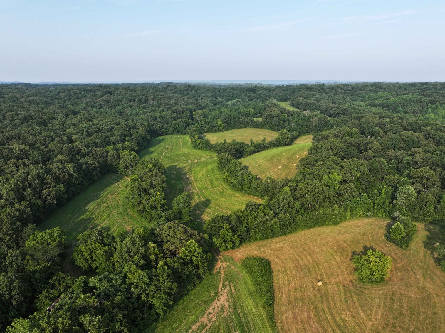 Image for 65.16 acres +/- off of County Road 522, Jackson MO 63755, MLS # 25009340