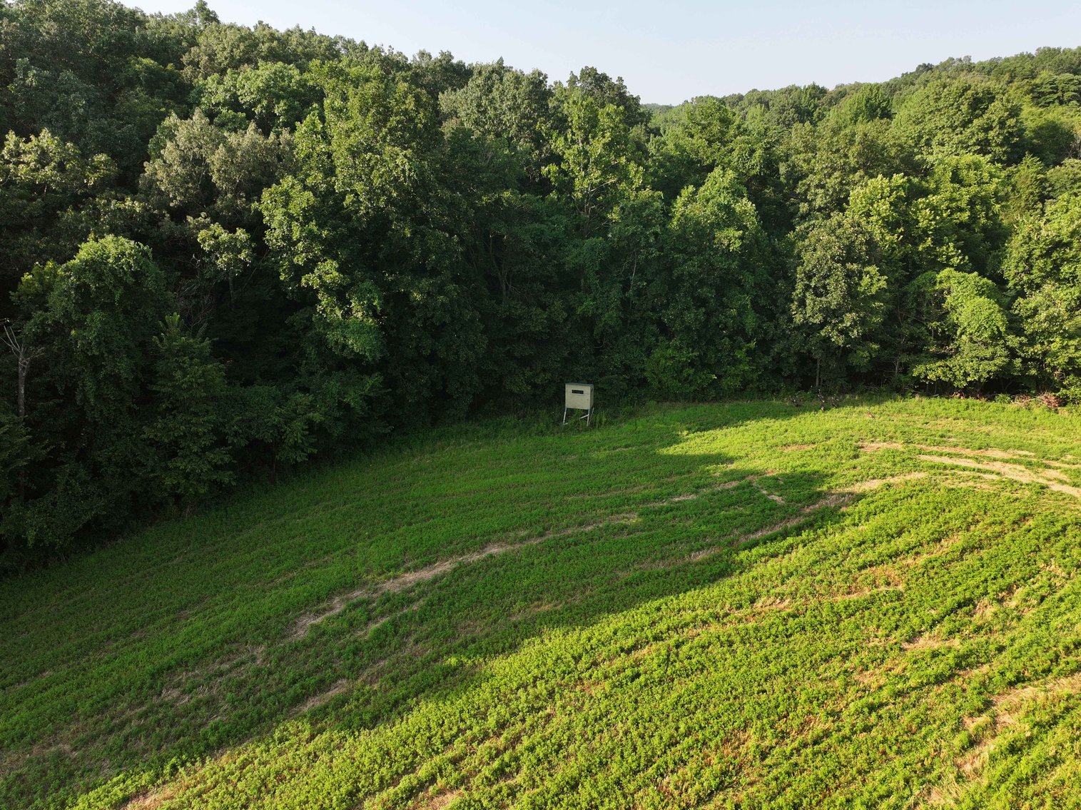 Image for 65.16 acres +/- off of County Road 522, Jackson MO 63755, MLS # 25009340