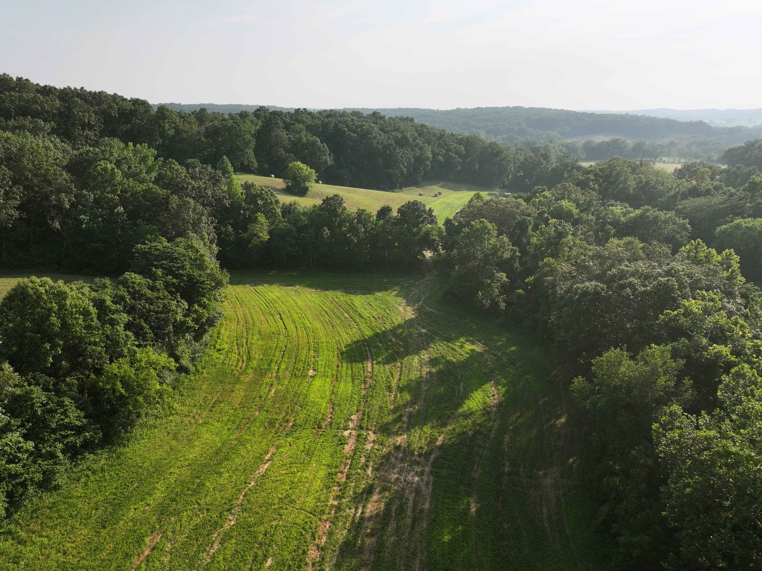 Image for 65.16 acres +/- off of County Road 522, Jackson MO 63755, MLS # 25009340