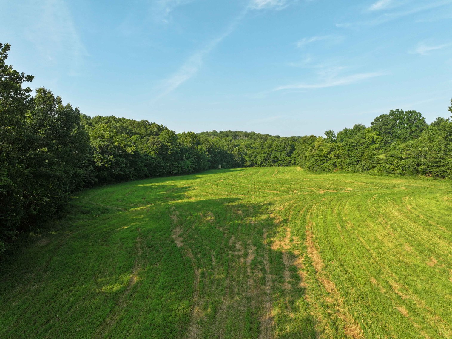 Image for 65.16 acres +/- off of County Road 522, Jackson MO 63755, MLS # 25009340
