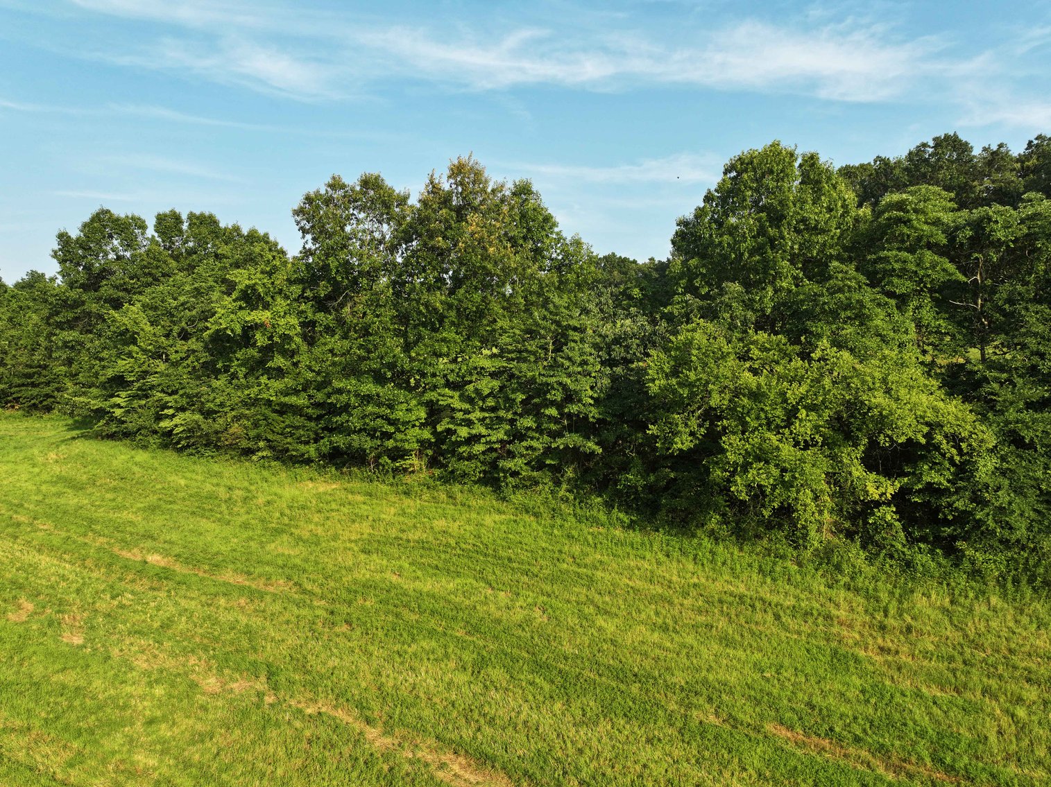 Image for 65.16 acres +/- off of County Road 522, Jackson MO 63755, MLS # 25009340