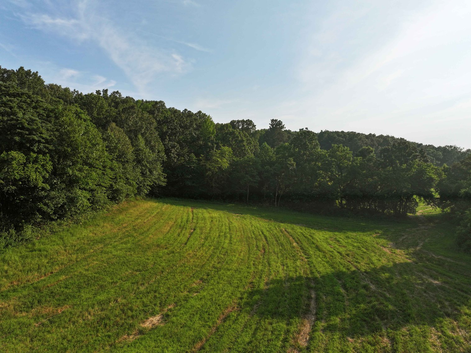 Image for 65.16 acres +/- off of County Road 522, Jackson MO 63755, MLS # 25009340