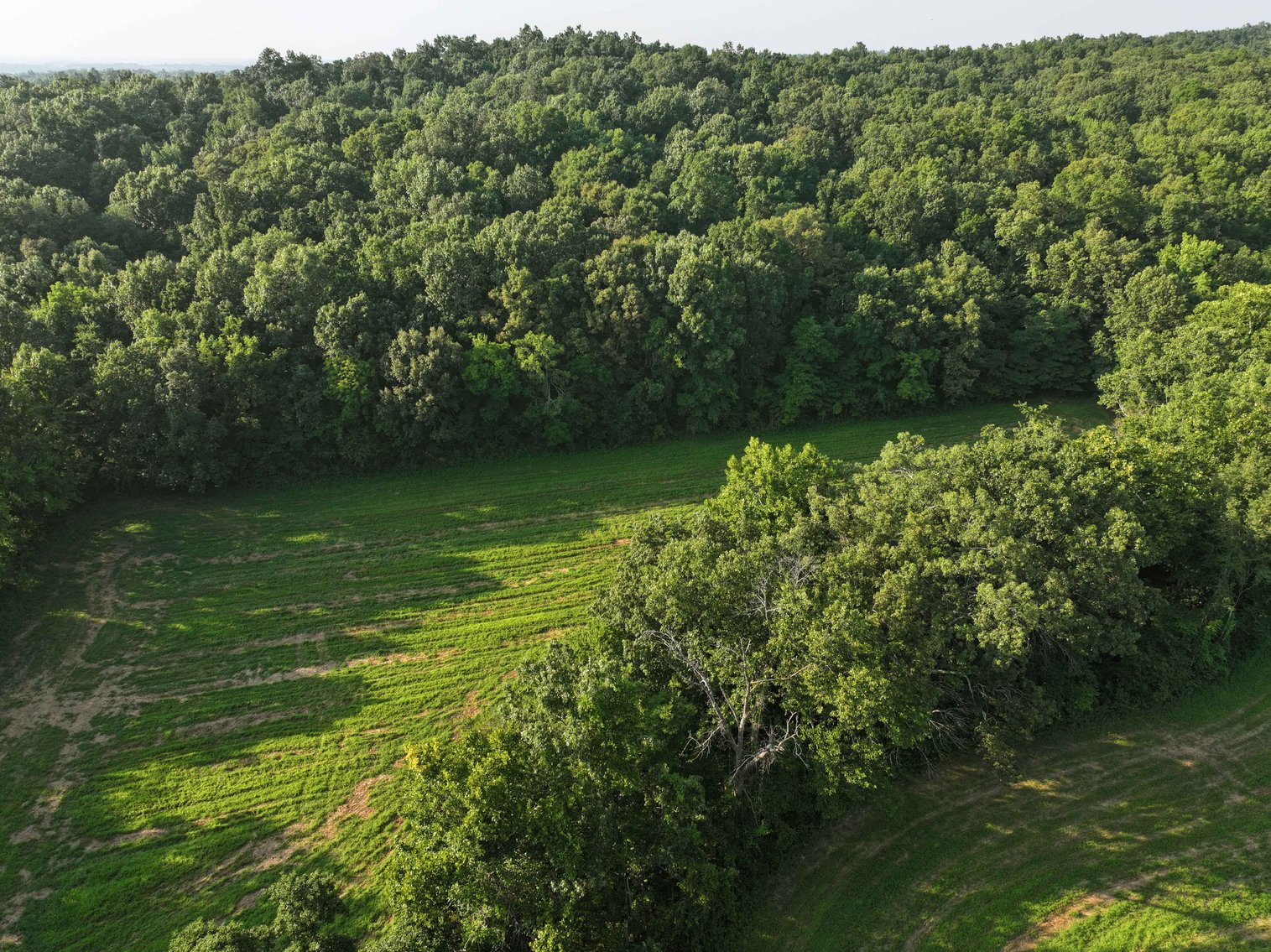 Image for 65.16 acres +/- off of County Road 522, Jackson MO 63755, MLS # 25009340