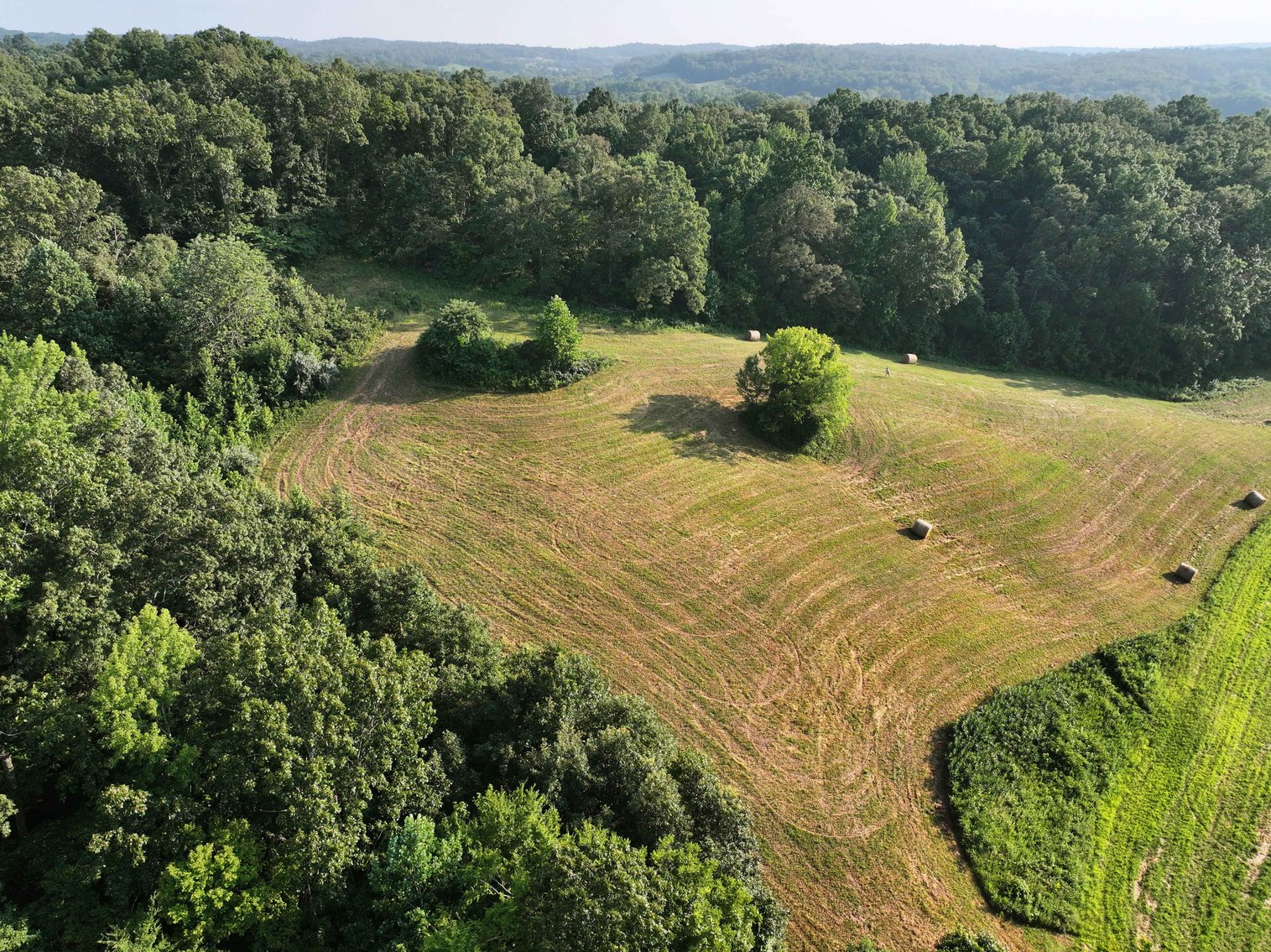 Image for 65.16 acres +/- off of County Road 522, Jackson MO 63755, MLS # 25009340