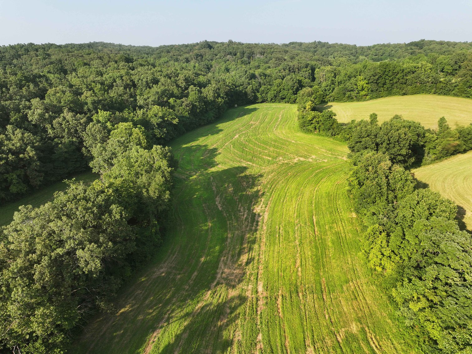 Image for 65.16 acres +/- off of County Road 522, Jackson MO 63755, MLS # 25009340