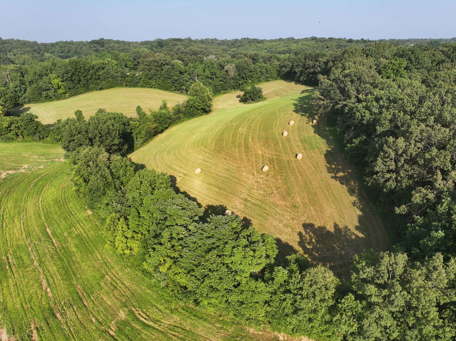 Image for 65.16 acres +/- off of County Road 522, Jackson MO 63755, MLS # 25009340