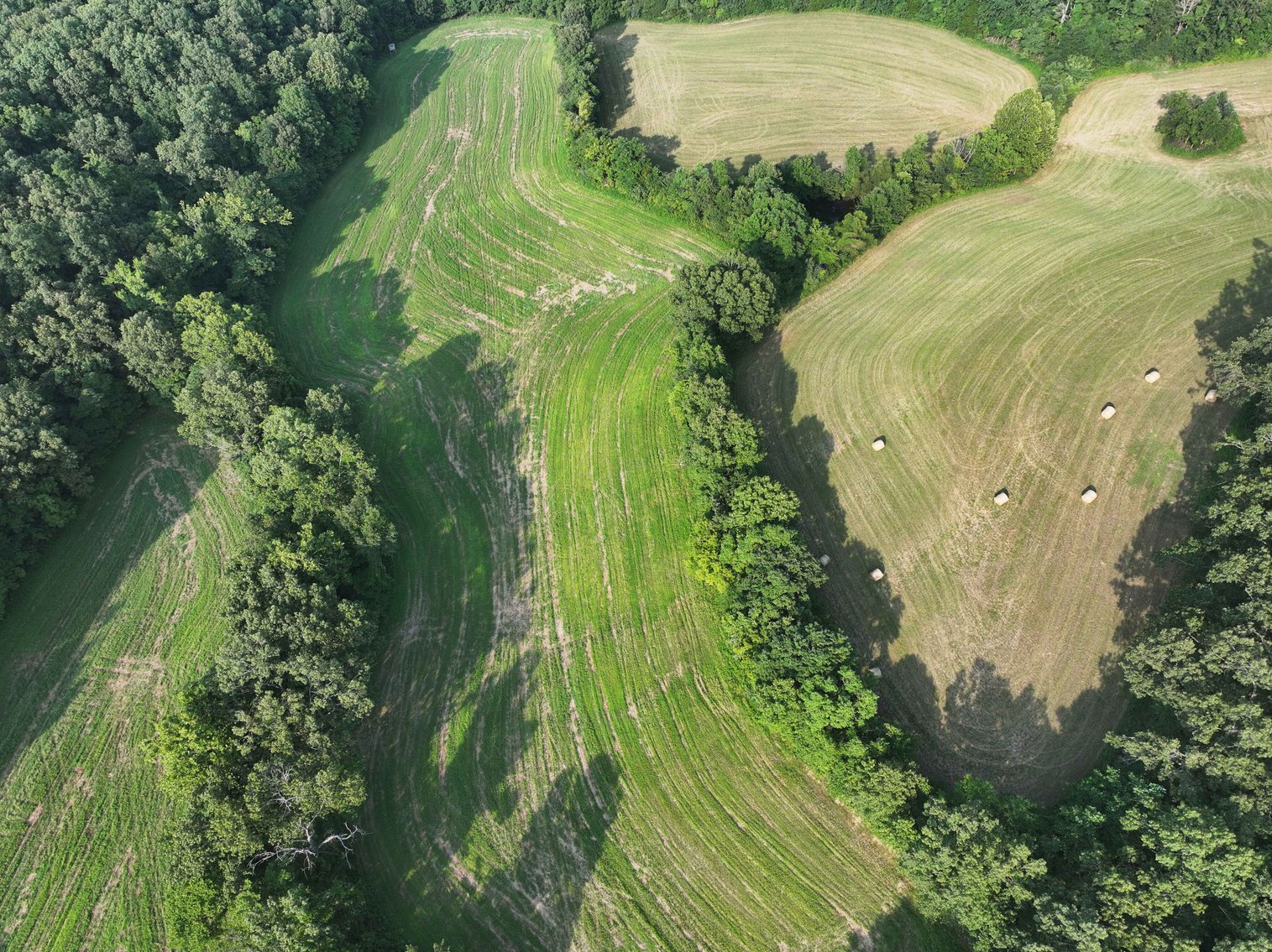 Image for 65.16 acres +/- off of County Road 522, Jackson MO 63755, MLS # 25009340