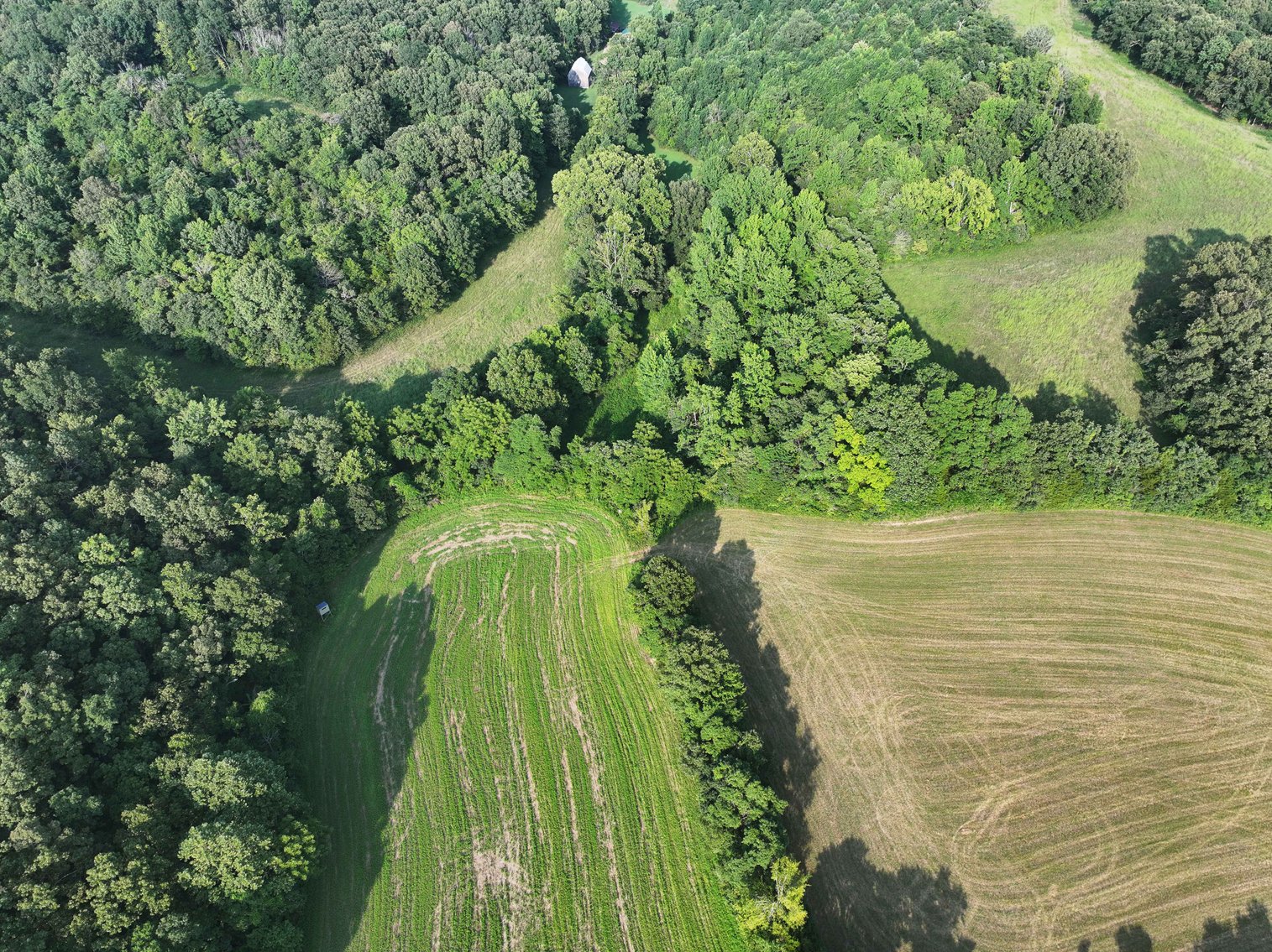 Image for 65.16 acres +/- off of County Road 522, Jackson MO 63755, MLS # 25009340