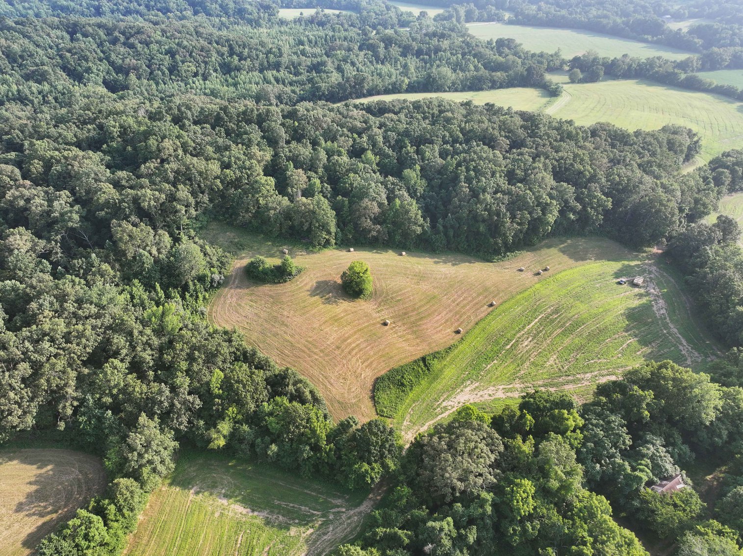 Image for 65.16 acres +/- off of County Road 522, Jackson MO 63755, MLS # 25009340
