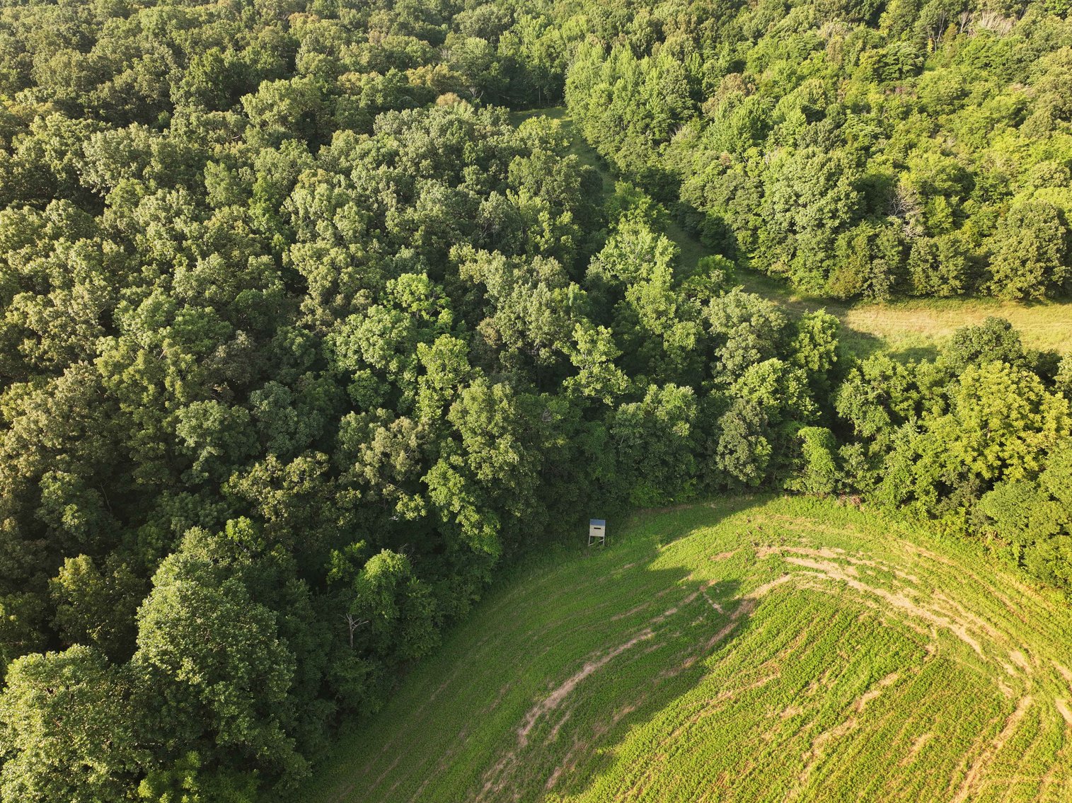 Image for 65.16 acres +/- off of County Road 522, Jackson MO 63755, MLS # 25009340