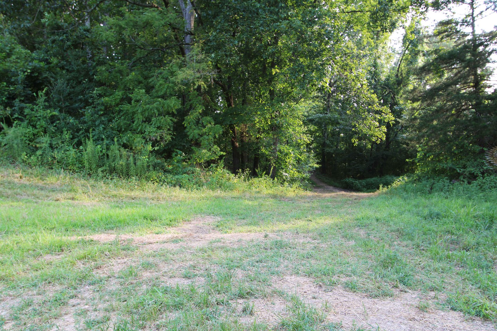 Image for 65.16 acres +/- off of County Road 522, Jackson MO 63755, MLS # 25009340