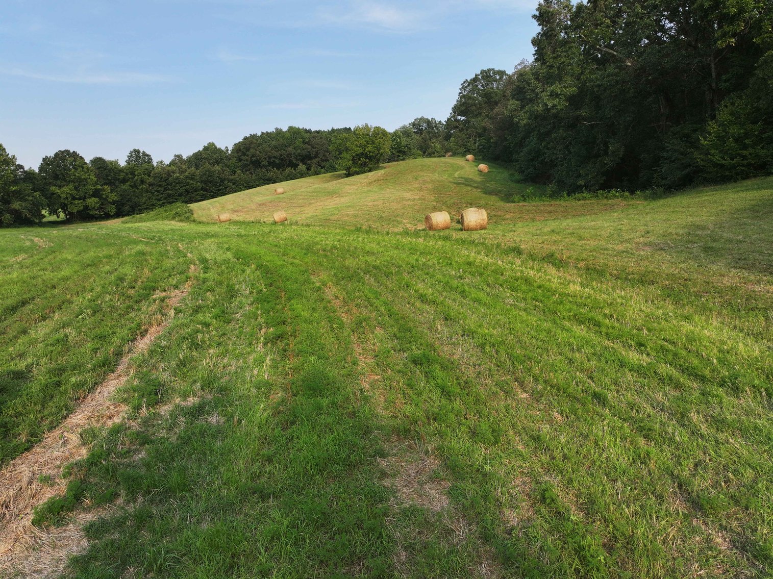 Image for 65.16 acres +/- off of County Road 522, Jackson MO 63755, MLS # 25009340