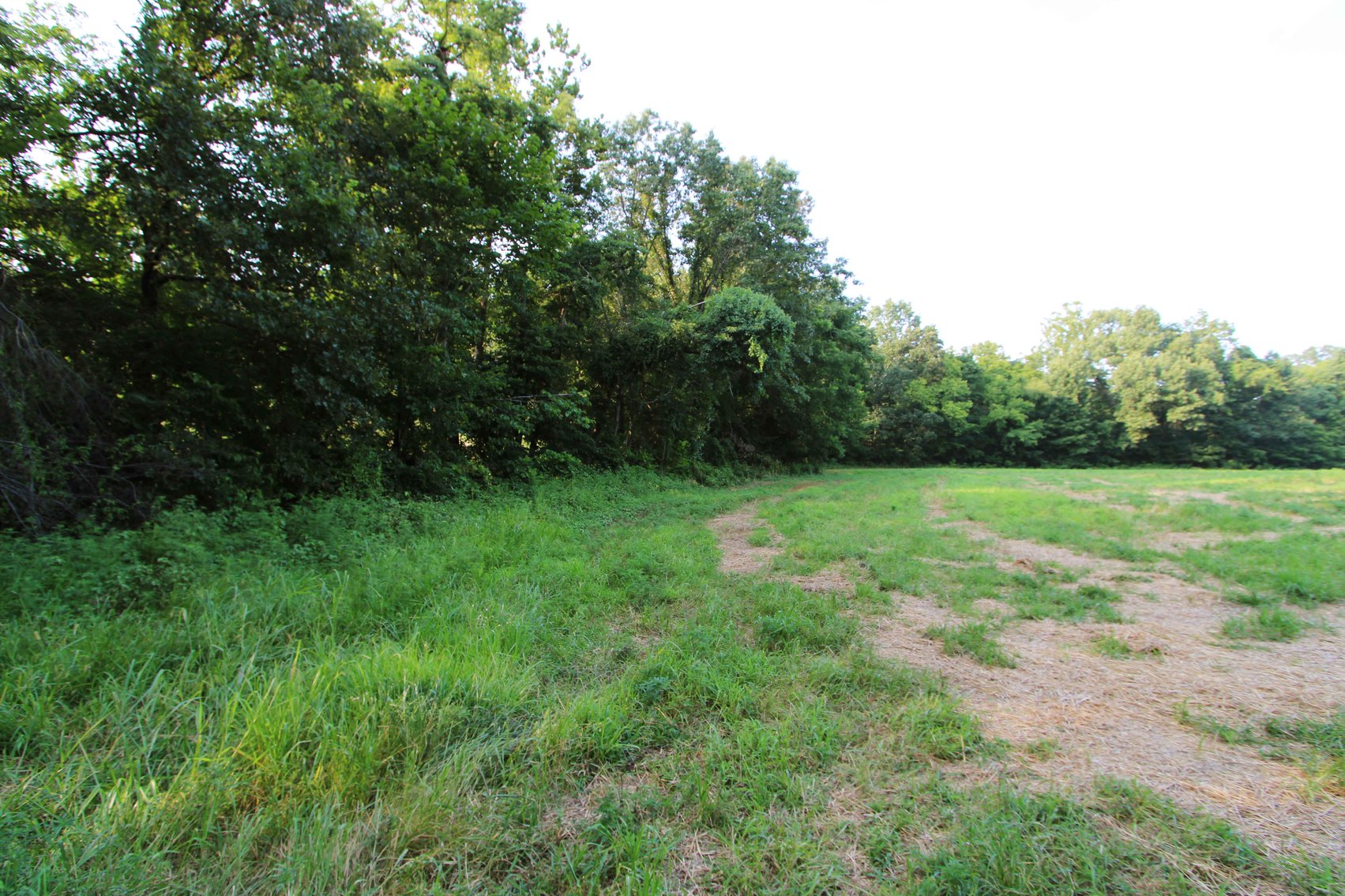 Image for 65.16 acres +/- off of County Road 522, Jackson MO 63755, MLS # 25009340