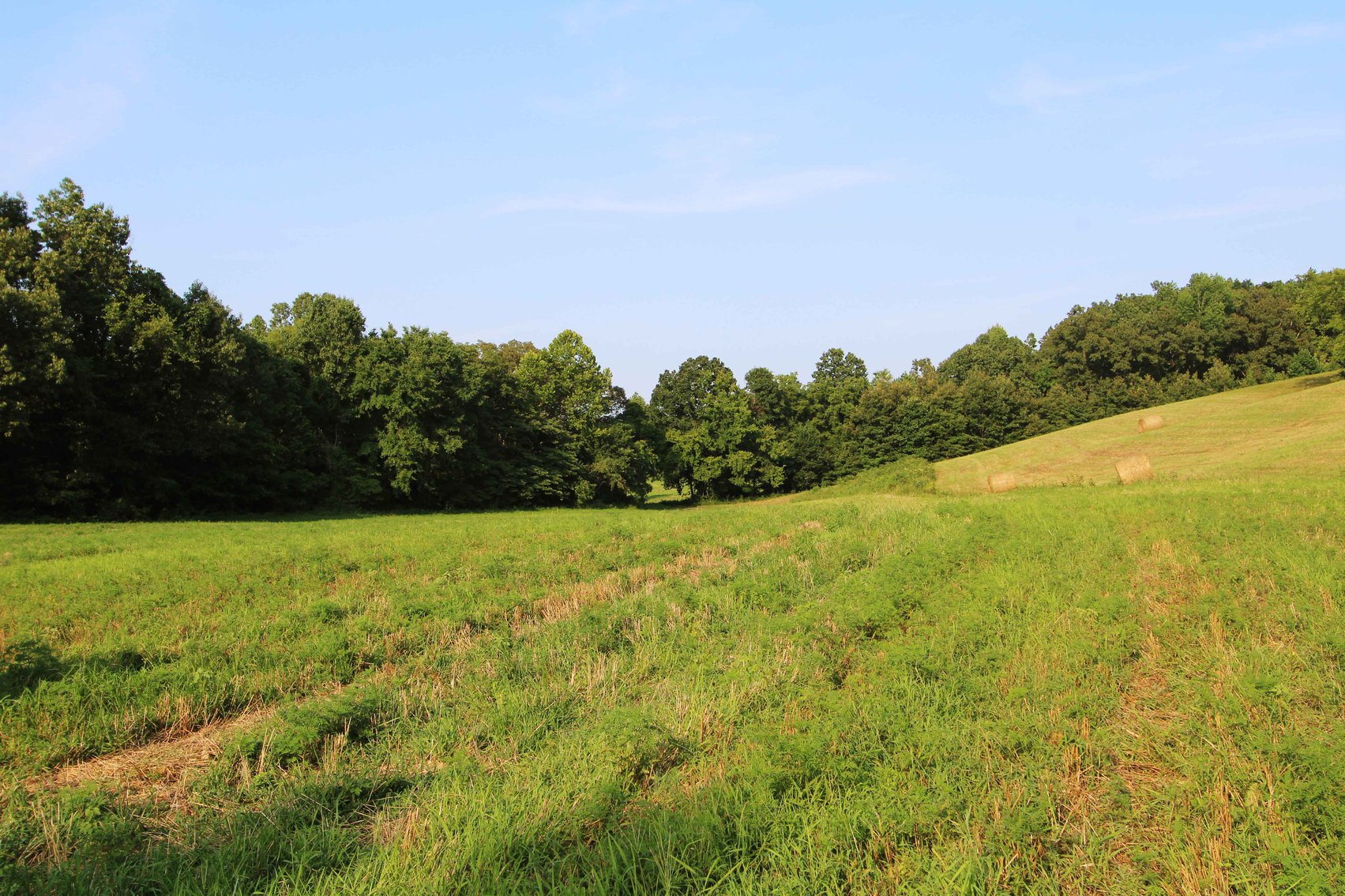Image for 65.16 acres +/- off of County Road 522, Jackson MO 63755, MLS # 25009340