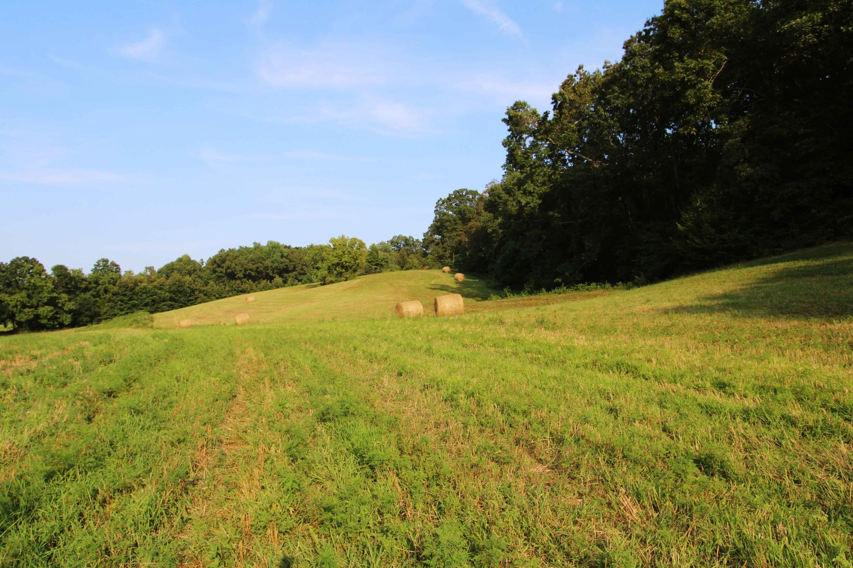 Image for 65.16 acres +/- off of County Road 522, Jackson MO 63755, MLS # 25009340