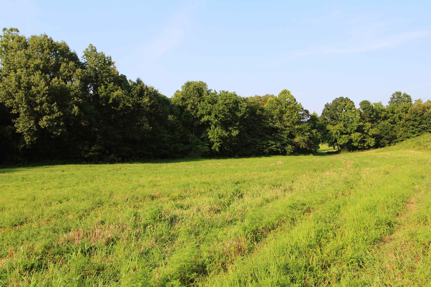 Image for 65.16 acres +/- off of County Road 522, Jackson MO 63755, MLS # 25009340
