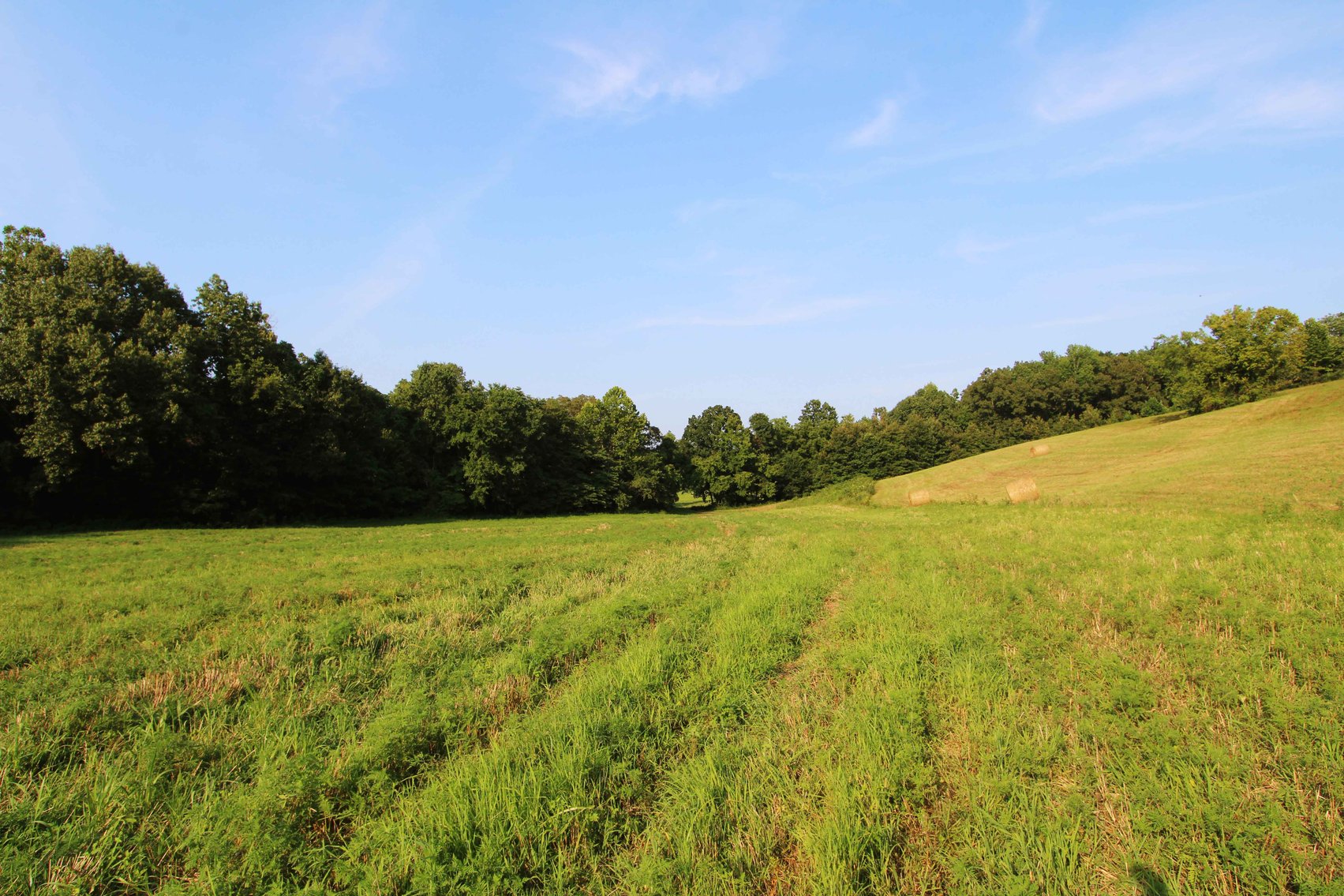 Image for 65.16 acres +/- off of County Road 522, Jackson MO 63755, MLS # 25009340