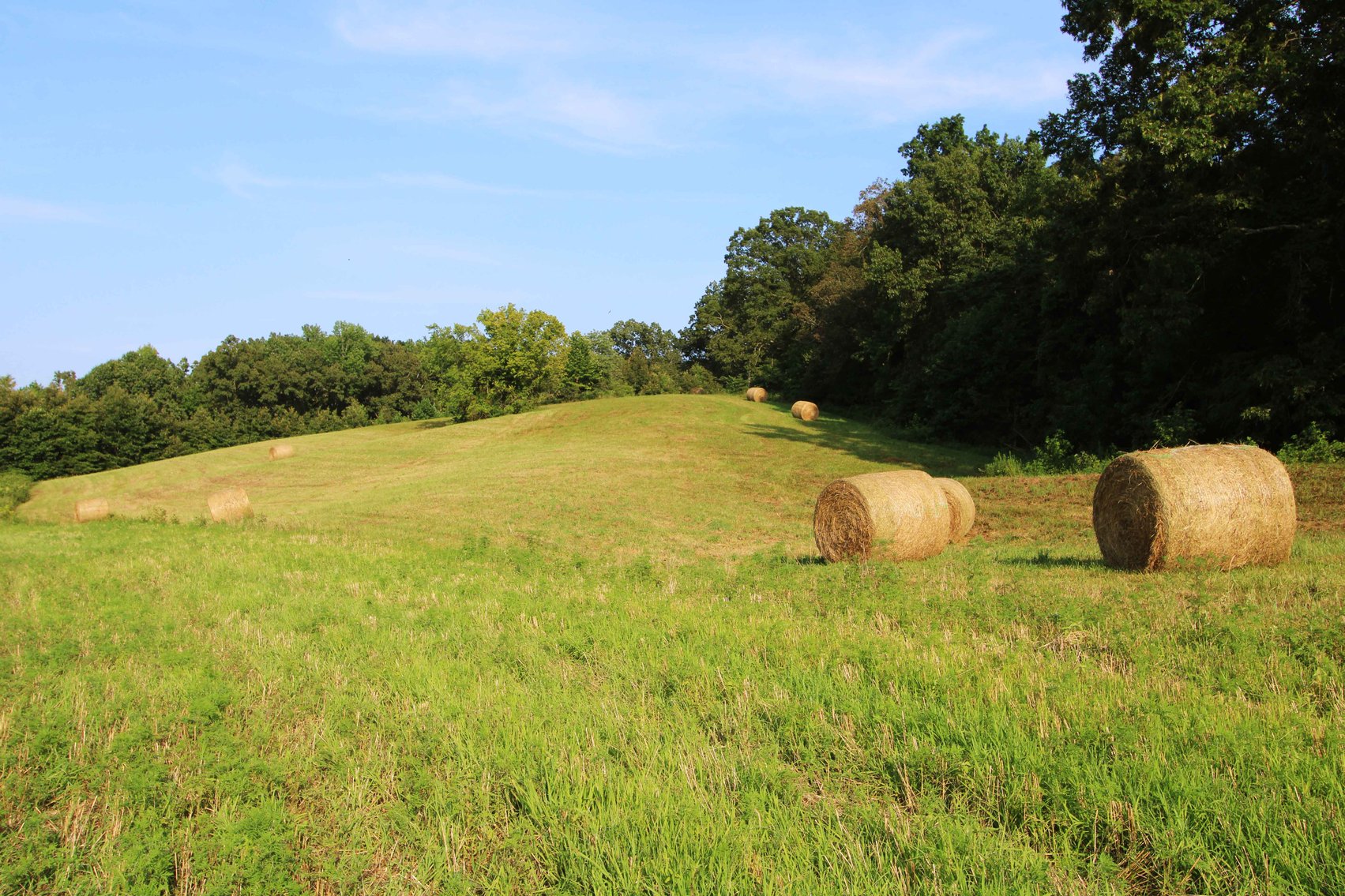 Image for 65.16 acres +/- off of County Road 522, Jackson MO 63755, MLS # 25009340