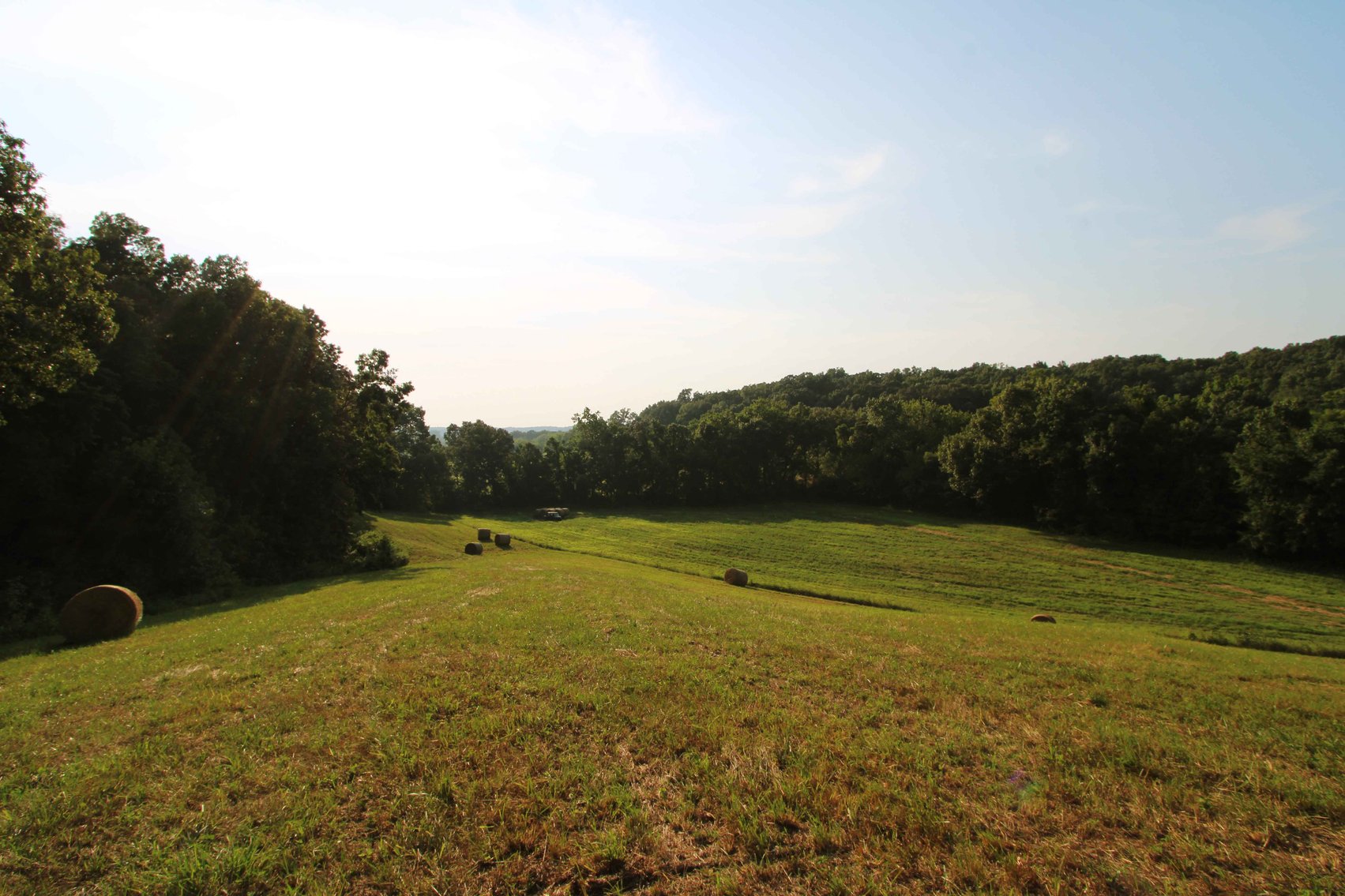Image for 65.16 acres +/- off of County Road 522, Jackson MO 63755, MLS # 25009340