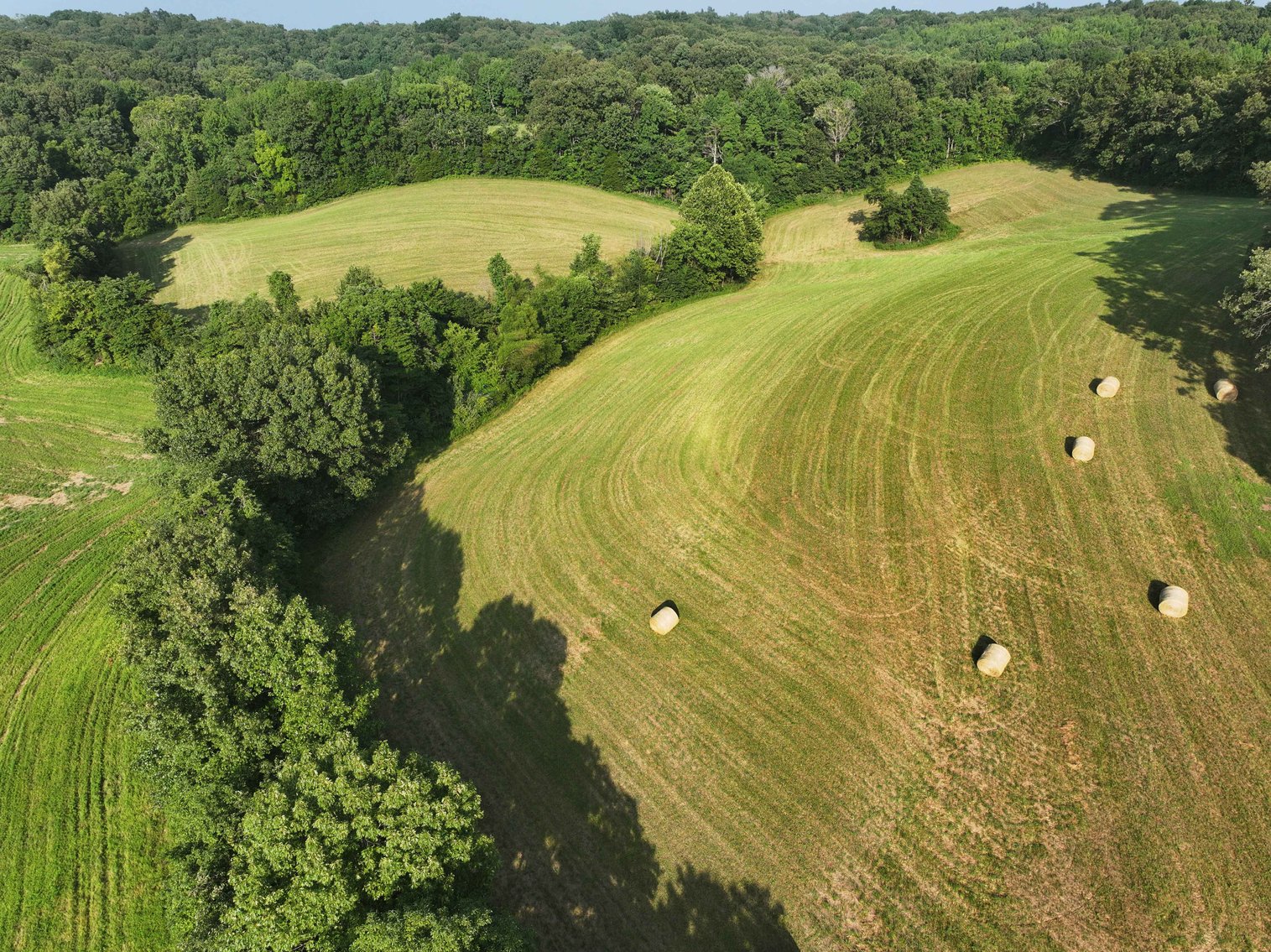 Image for 65.16 acres +/- off of County Road 522, Jackson MO 63755, MLS # 25009340