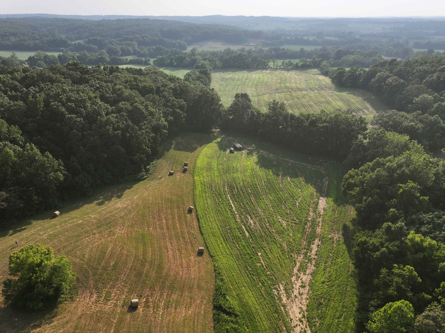 Image for 65.16 acres +/- off of County Road 522, Jackson MO 63755, MLS # 25009340