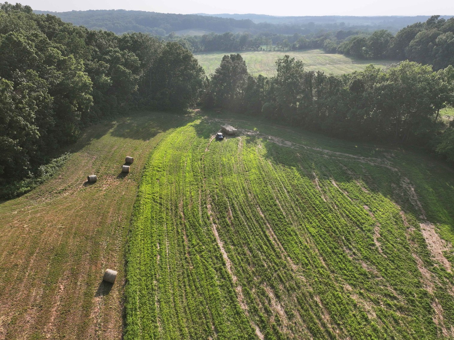 Image for 65.16 acres +/- off of County Road 522, Jackson MO 63755, MLS # 25009340