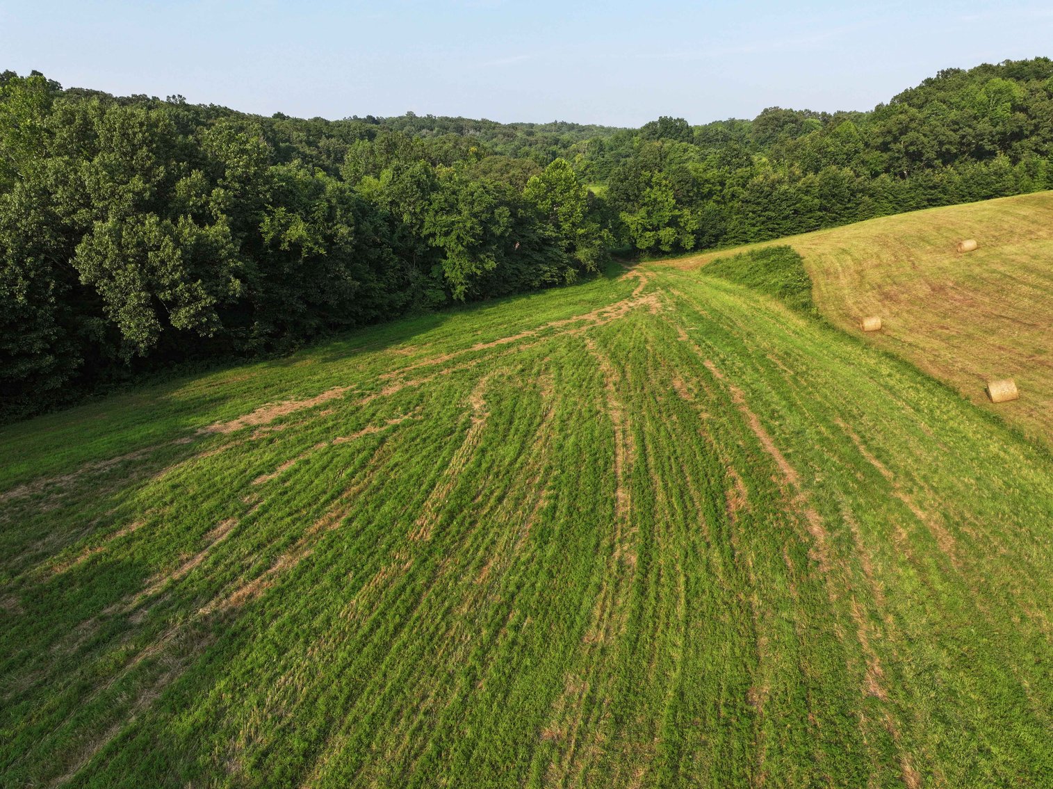Image for 65.16 acres +/- off of County Road 522, Jackson MO 63755, MLS # 25009340
