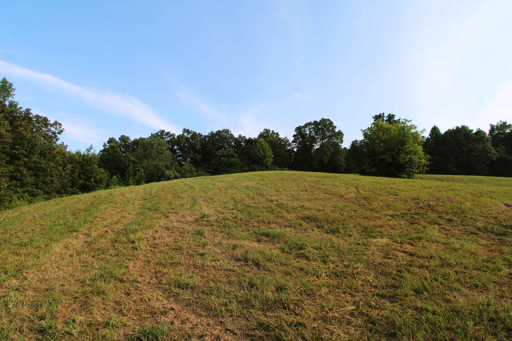 Image for 65.16 acres +/- off of County Road 522, Jackson MO 63755, MLS # 25009340