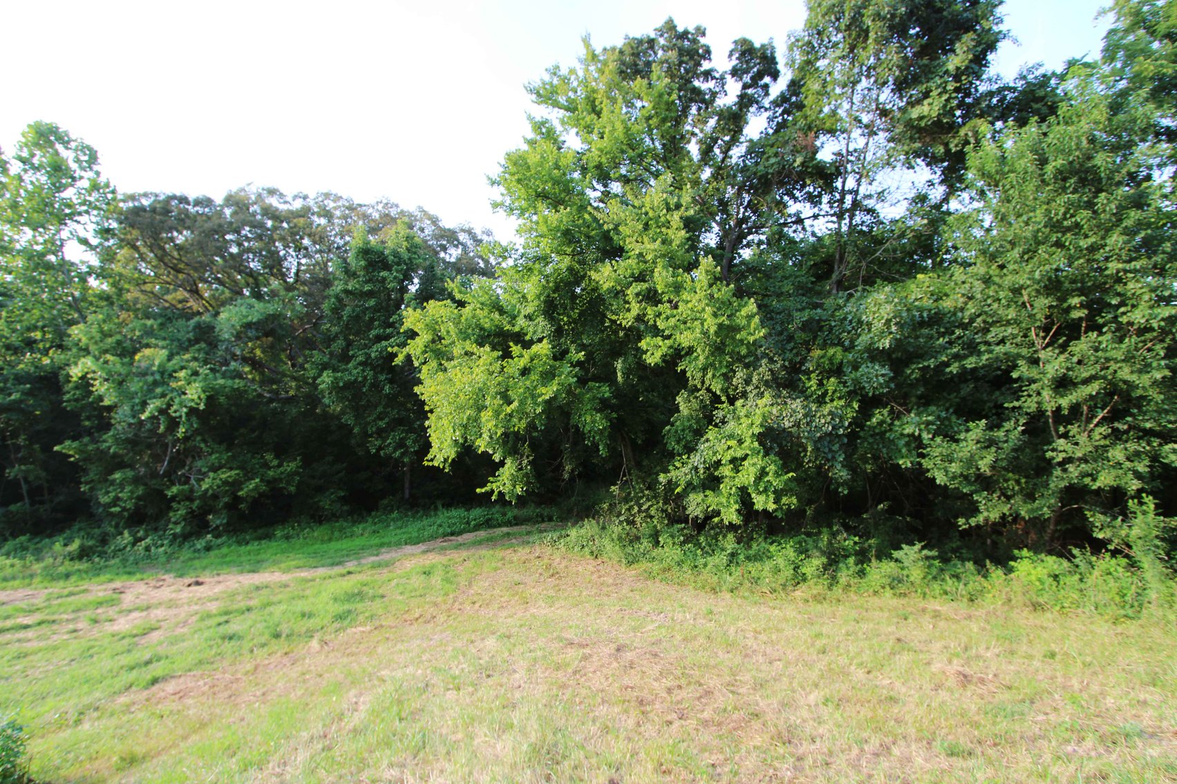 Image for 65.16 acres +/- off of County Road 522, Jackson MO 63755, MLS # 25009340