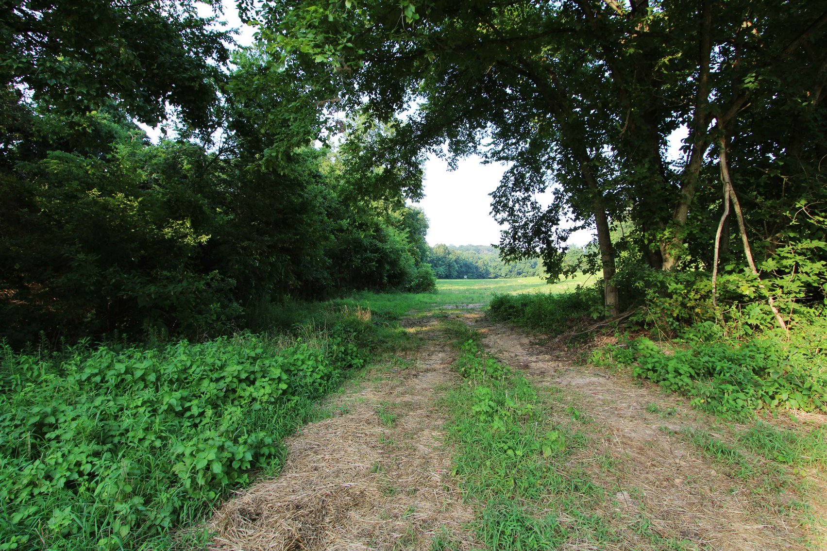 Image for 65.16 acres +/- off of County Road 522, Jackson MO 63755, MLS # 25009340