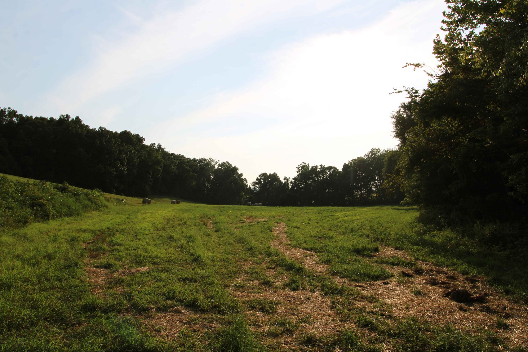 Image for 65.16 acres +/- off of County Road 522, Jackson MO 63755, MLS # 25009340